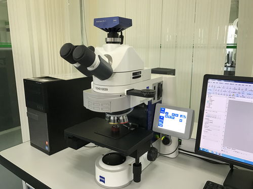 研发与技术服务的协同与价值