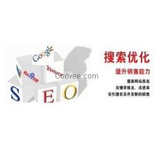 专业建站技术服务 构建数字化未来的基石