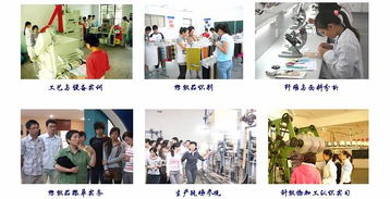 对外技术服务与培训 提升企业核心竞争力的双轮驱动