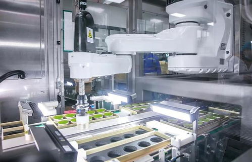 小罐茶创始人杜国楹引领茶业革新 15亿投资智能工厂，AI挑茶工重塑传统茶产业