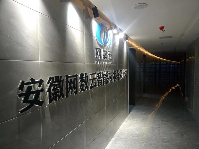 安徽网数云智能技术